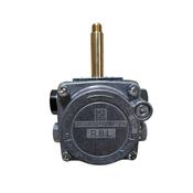 Riello 40 G20 Pump