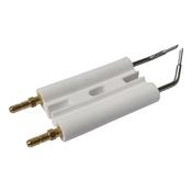 Riello BG/RL Electrode Group
