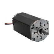 EOGB Burner Motor, 100 watt 24V DC Brushless image