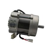 Riello BS3/M Motor