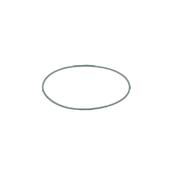 EcoFlam O Ring image