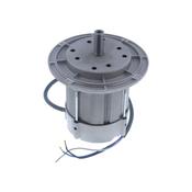 Riello RS28/RL28 Motor image