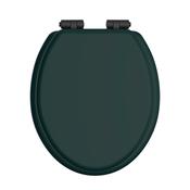Heritage Classic Green Toilet Seat with Soft Close Matt Black Hinges image