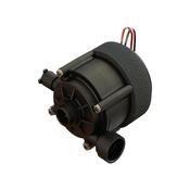 Triton T90SR Pump &amp;amp; Motor Assembly