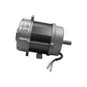 Riello Gulliver RS5 250W Motor image