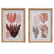 Coral designs with rattan frames image
