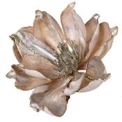 Taupe Magnolia on Clip