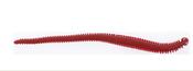 Berkley Gulp Ragworm 6in Bloody image