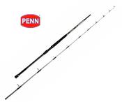 Penn Regiment IV Uptide Rod 1002 - 70-300g