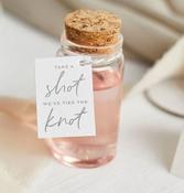 6 Pack Mini Shot Glass Favours “Take A Shot, We’ve Tied the Knot” image