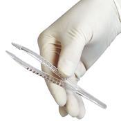 100 x Disposable Forceps - Non-Sterile image