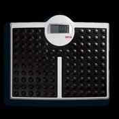 Electronic Flat With Very High Capacity (Seca 813)