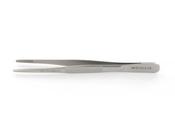 Anatomy Forceps 12cm (1)