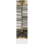 ART TOB5062 HICKS PENDANT image