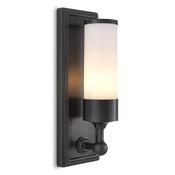 EI 111509 VALENTINE WALL LAMP image