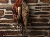 Guinea Fowl Whole image