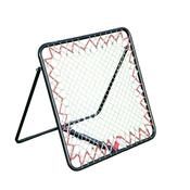 PT Pro Rebounder image