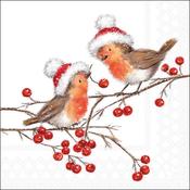 Christmas Robins White Napkin 20 Pack 33x33cm image