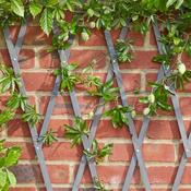 Heavy Duty Exp Trellis Slate Grey image