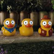Lucky Ducky!