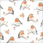 Robin Family Napkin 20 Pack 33x33cm image