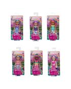 Barbie Chelsea Fantasy Assortment