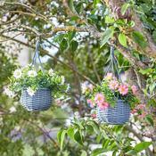 Basket Bouquets Meadow