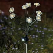 8 Stem FloraLights Warm White Stake Light