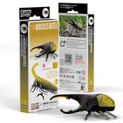 Eugy Hercules Beetle