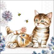 Cats &amp; Bees Napkin 20 Pack 33x33cm image