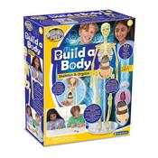 Build a Body image