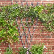 Heavy Duty Fan Trellis 1.8 x 0.9m