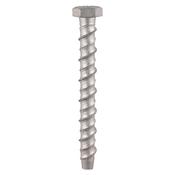 Multi-Fix Bolt Hex Head  10x100 (12)