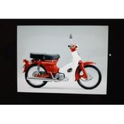 New Honda 50 sorry sold image