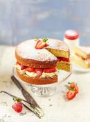 Fresh Cream Sponge Cake 