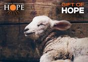 A Lamb