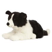 Border Collie Large Living Nature image