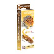 Eugy Desert Spadefoot Toad 3D Model Craft Kit image