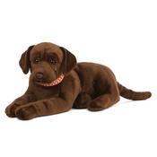 Giant Chocolate Lab Living Nature image