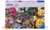 Hummingbirds &amp; Butterflies 200 image