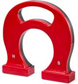KidzLabs Giant Magnet