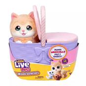 Little Live Pets Mama Surprise Kitty Playset