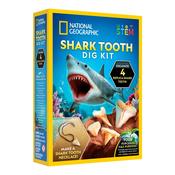 National Geographic Great White Shark Tooth Dig image
