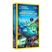 National Geographic Shark Dissection Lab image