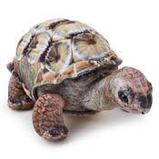 Aldabra Tortise 25cm Eco Soft Toy image