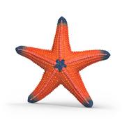 Schleich Starfish Colour Change image