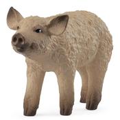 Schleich Mangalica Piglet