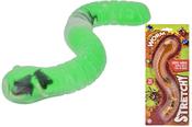 Slimy Stretchy Bug Eating Worm