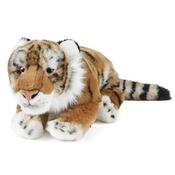 Tiger Large Living Nature image