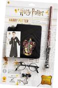 Harry Potter Blister Kit - Robe, Wand &amp; Glasses